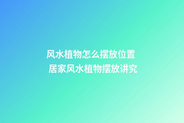 风水植物怎么摆放位置  居家风水植物摆放讲究